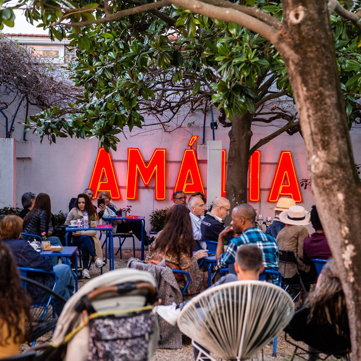 Experiência de Fado na Casa da Amália com concerto ao vivo