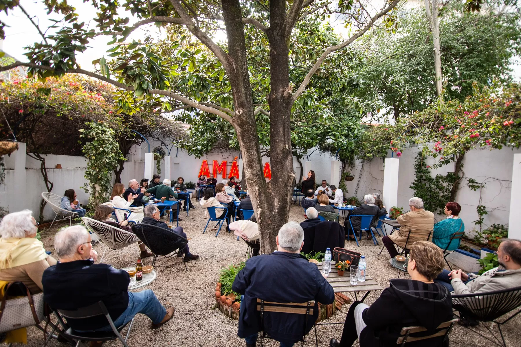 Experiência de Fado na Casa da Amália com concerto ao vivo